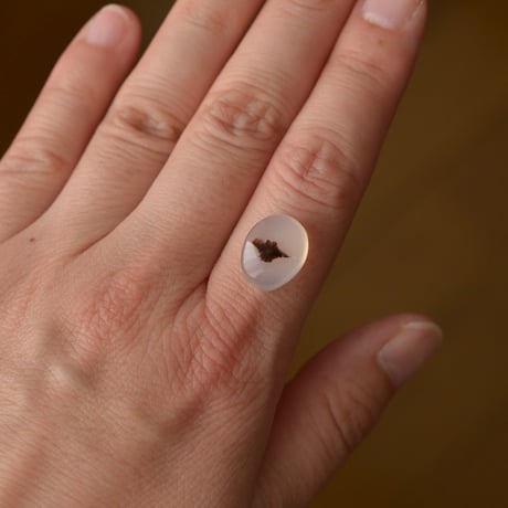 デンドリティックアゲート Dendritic Agate N144