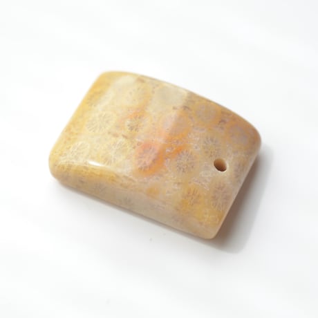 フォッシルコーラル Fossil Coral N057