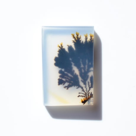CATEGORY デンドリティックアゲート/Dendritic Agate | MARU