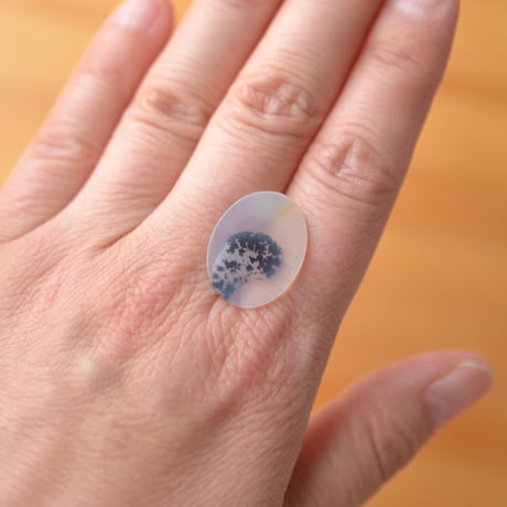 デンドリティックアゲート Dendritic Agate 075