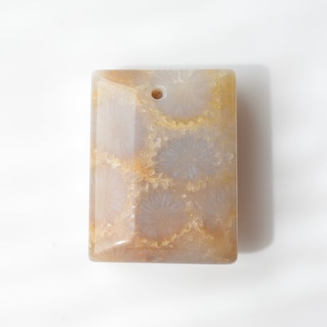 フォッシルコーラル Fossil Coral N055