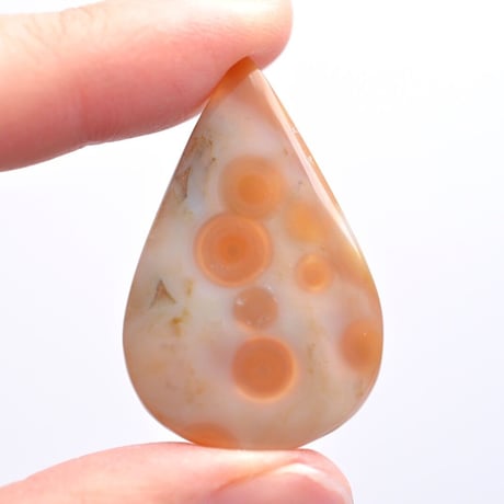 オーシャンジャスパー Ocean Jasper N009