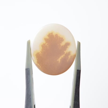デンドリティックアゲート Dendritic Agate N035
