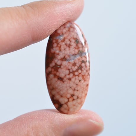 オーシャンジャスパー Ocean Jasper N005