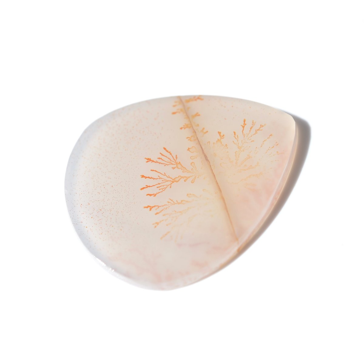 デンドリティックアゲート Dendritic Agate 079 | MARU