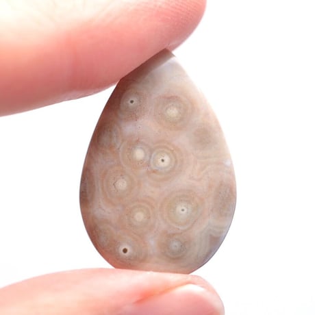 オーシャンジャスパー Ocean Jasper N014