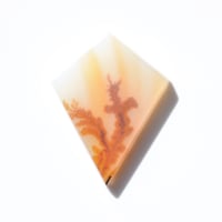 デンドリティックアゲート Dendritic Agate 064