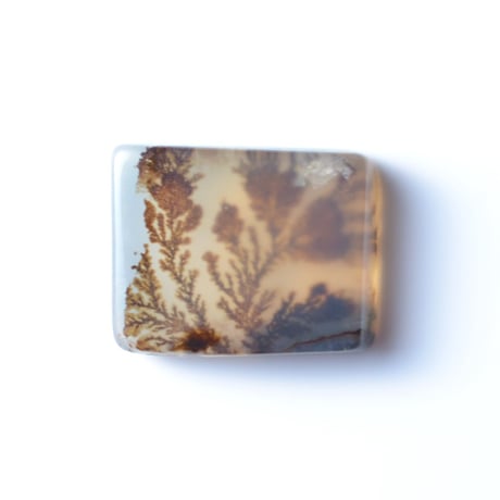 デンドリティックアゲート Dendritic Agate N044