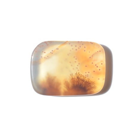 デンドリティックアゲート Dendritic Agate 081