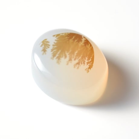デンドリティックアゲート Dendritic Agate N116