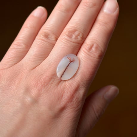 デンドリティックアゲート Dendritic Agate 051