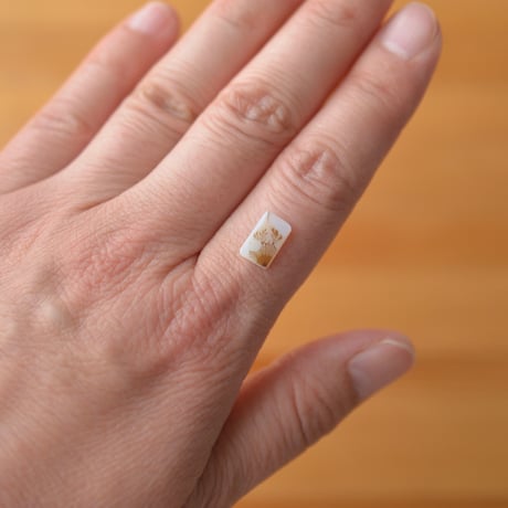 デンドリティックアゲート Dendritic Agate 099