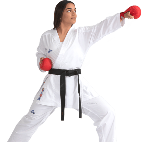 CATEGORY 道着 | Daedo SDH