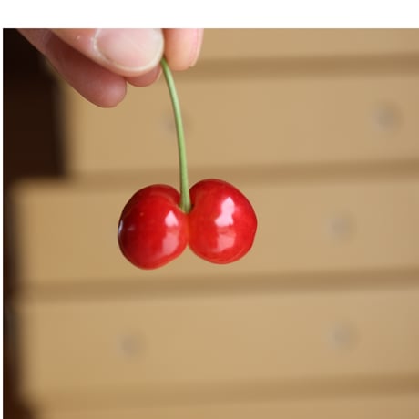 限定　🉐あまい双子ちゃん🍒🍒　佐藤錦500g