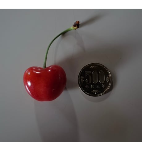贅沢やまがた紅王3L バラ詰め1kg