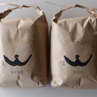 新米令和7年度産 雪若丸×はえぬき　食べ比べセット　6kg