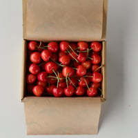 パリパリ食感　ひょっとして芳玉　L〜2L　500g