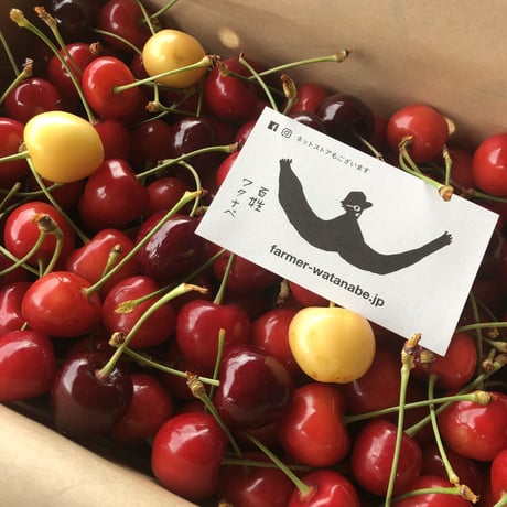 3種詰め 紅秀峰ベース1kg