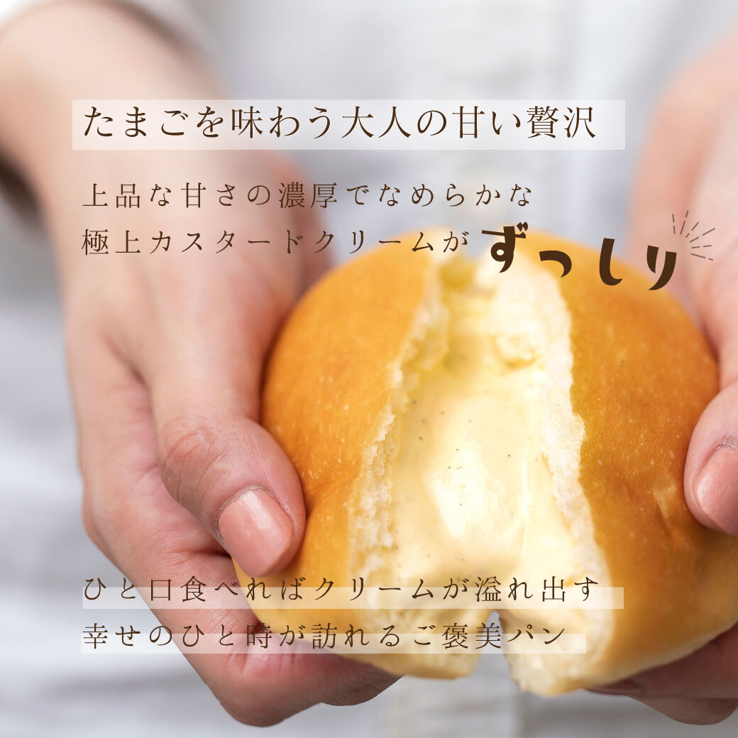 (2個セット)クリームパンさん専用 ケーキとして楽しめる『ごちそうクリームパン』セット | サンクレール
