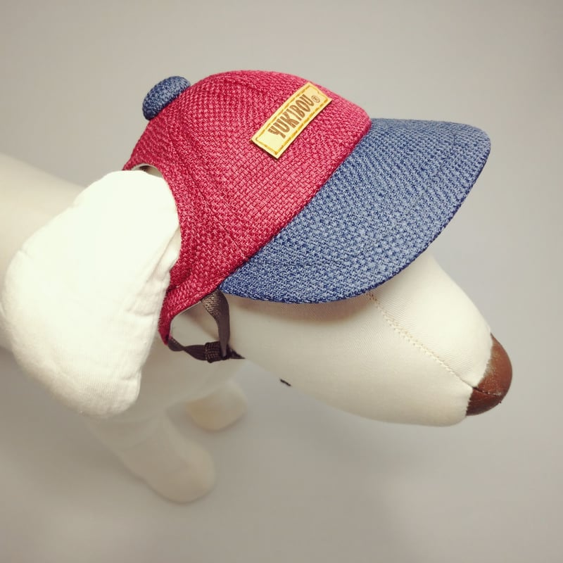 キャップ（小型犬用）レッド×ブルー | YUKIBOU-SHOP