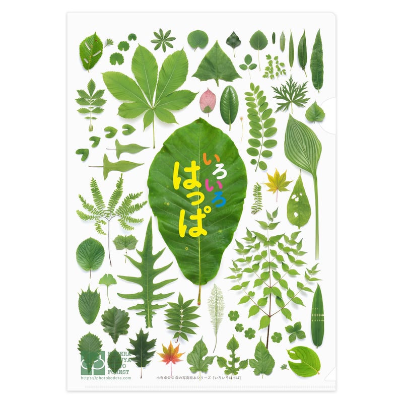 有葉 A4クリアファイル 2025年最新】Yahoo!オークション -有葉と愉快な仲間