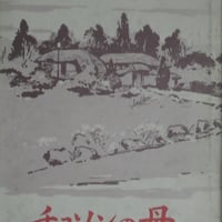 『チョソンの母』 amazon価格3万円