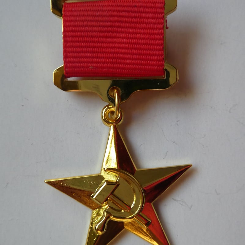 米海軍横須賀基地 チャレンジコイン ピカチュウ2