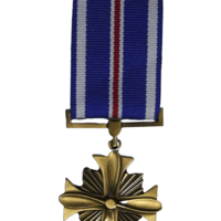 アメリカ『殊勲飛行十字勲章』(DFC) | BARBAROSSA