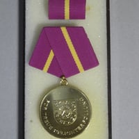 レア 東ドイツ DDR 国家保安省（STASI）功労章／ケース付／勲章