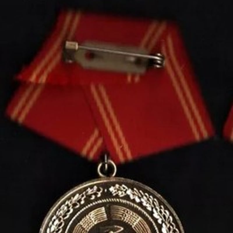 東ドイツ 25年勤続功労メダル 勲章 ドイツ民主共和国『内務省軍事忠勤勲章』(25年) 略綬/ケースつき
