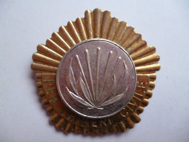 アルバニア社会主義人民共和国『市民英雄勲章』 | BARBAROSSA