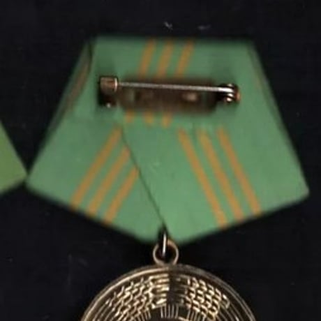 ドイツ民主共和国『内務省軍事忠勤勲章』(15年) 略綬・ケースつき 東ドイツ