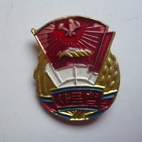 『朝鮮社会主義労働青年同盟バッジ』 B