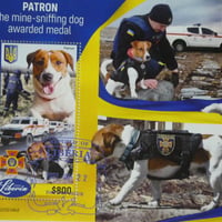 『ウクライナ戦争』(軍用犬) CTO
