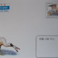 エアメール封筒『WWF』2009
