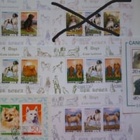 大特価！『犬』6シートセット CTO