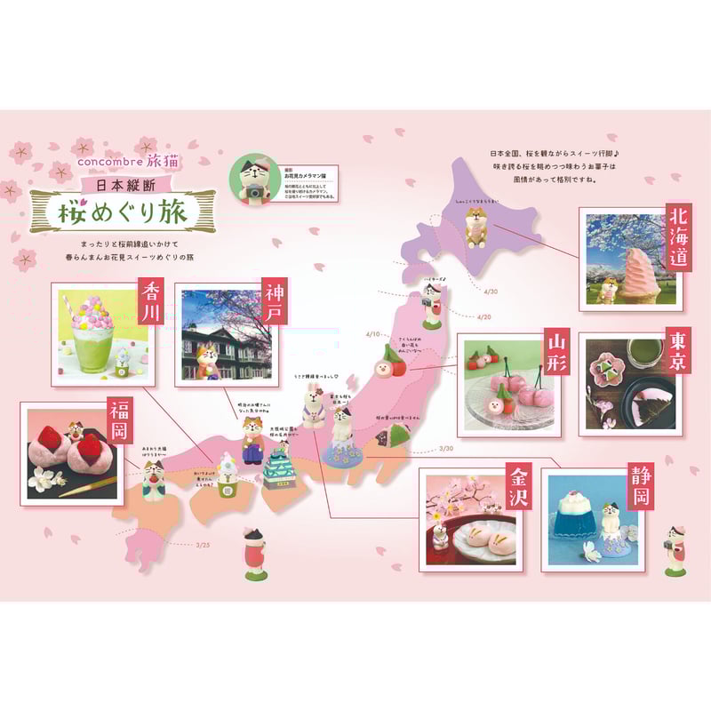 コンコンブル＊お花見カメラマン猫 | PHOTO GARDEN online