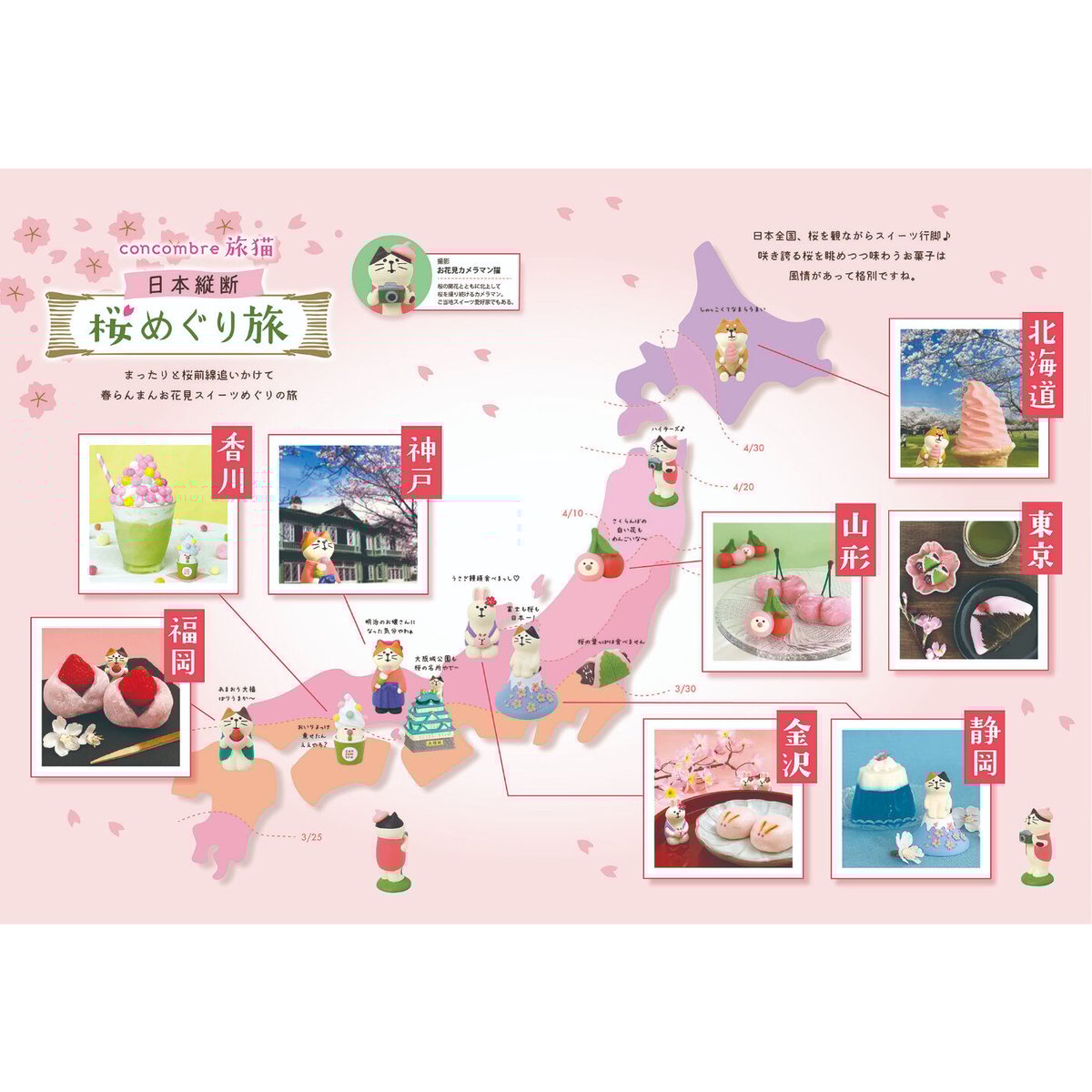 コンコンブル＊お花見カメラマン猫 | PHOTO GARDEN online