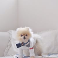 リメイクデニム×ふわふわファーの犬用マフラー(長さ46cm) | DLIC.