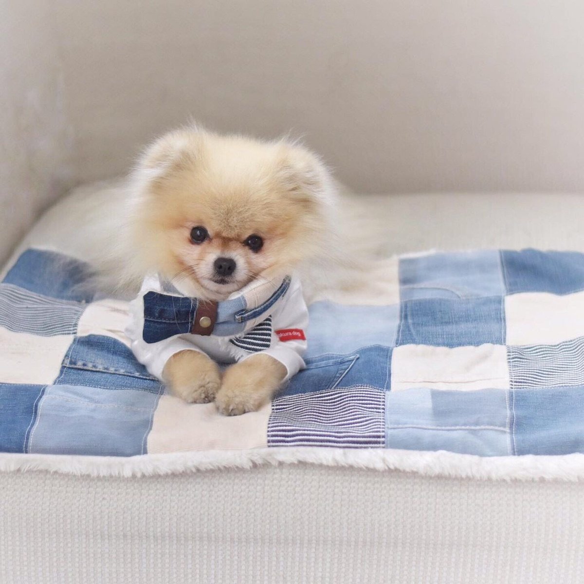 リメイクデニム×ふわふわファーのカフェマット | DLIC.