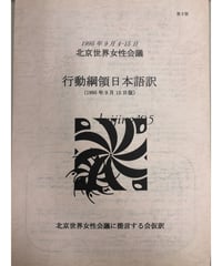 『北京世界女性会議　行動綱日本語訳』（1995年9月15日版）