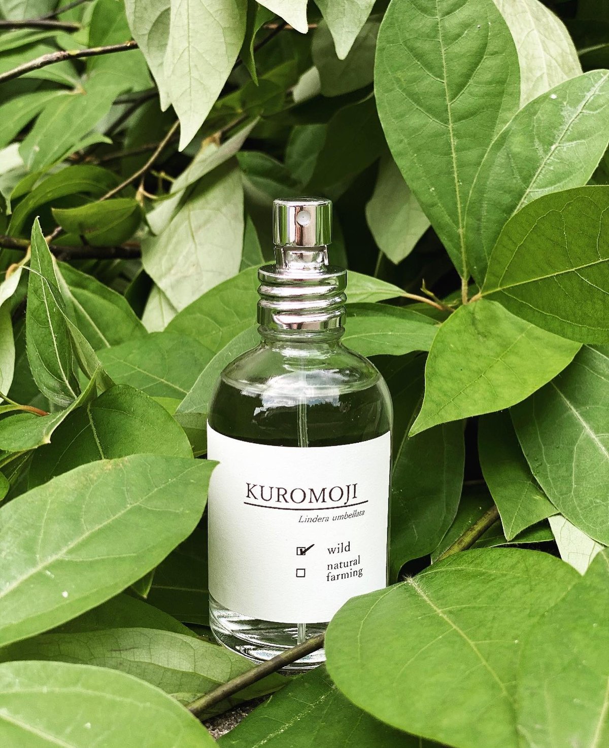 【あお】クロモジフローラルウォーター 1㍑ 5本セット あお】クロモジフローラルウォーター 1㍑ 5本セット あお】クロモジ