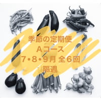 季節の定期便 Aコース【７・８・９月／隔週 全６回発送】