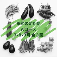 季節の定期便 Aコース【７・８・９月／毎月１回発送】