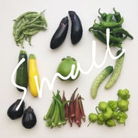 季節の自然栽培野菜BOX・S サイズ