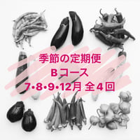 季節の定期便 Bコース【７・８・９月・12月／毎月１回発送】