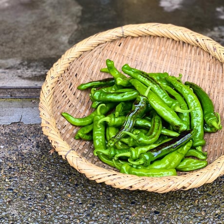 季節の自然栽培野菜BOX・S サイズ