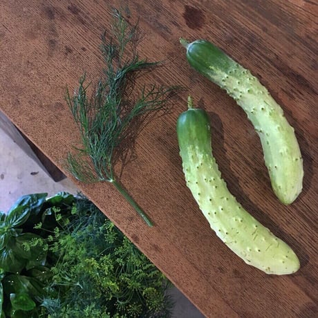 季節の自然栽培野菜BOX・S サイズ