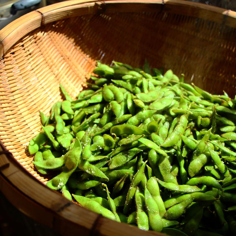 自然栽培(全20巻) 自然栽培 Vol.20 実りをもたらし、いのちを育む 「山」は、生命