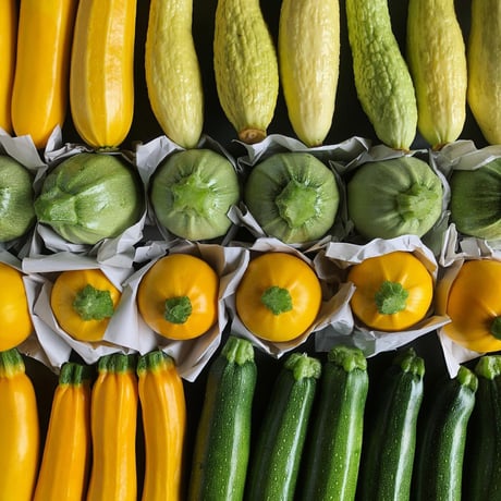 季節の自然栽培野菜BOX・S サイズ